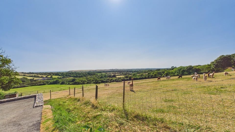 The Olde Log Cabin - 3 Bedroom - Beavers Hill (29423)