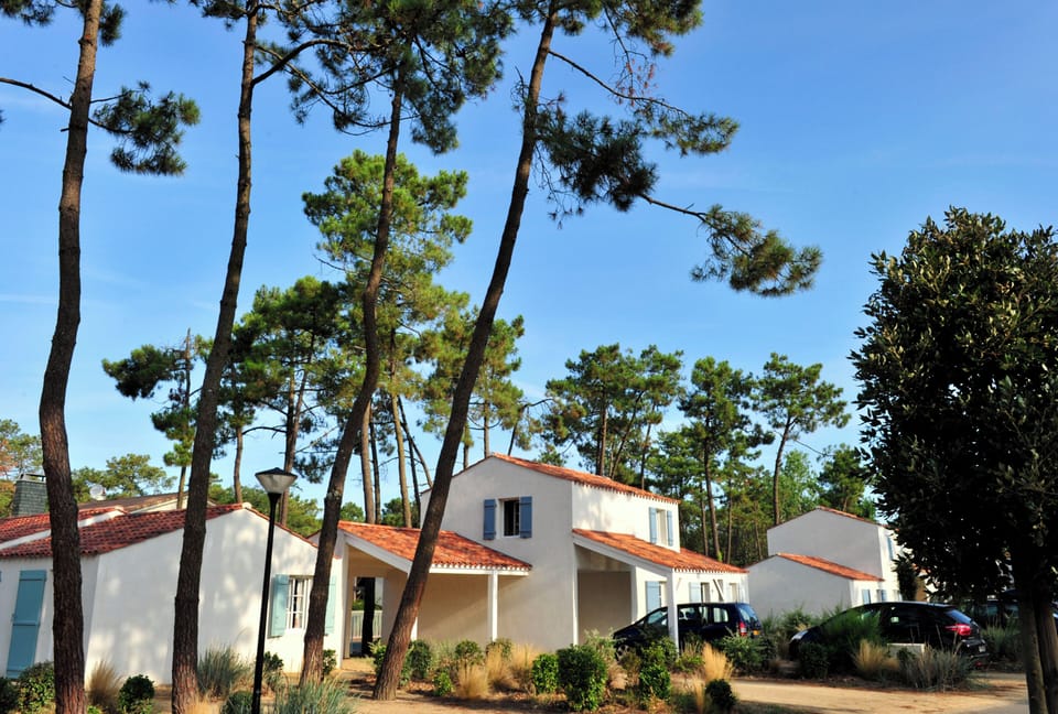 Semi-detached houses sit spaced beneath the pines, with parking just outside your door.