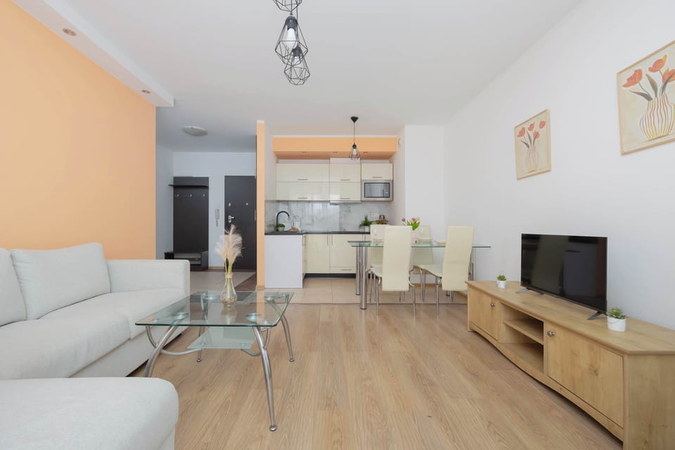 Living area with a TV, storage unit and open-plan kitchen.