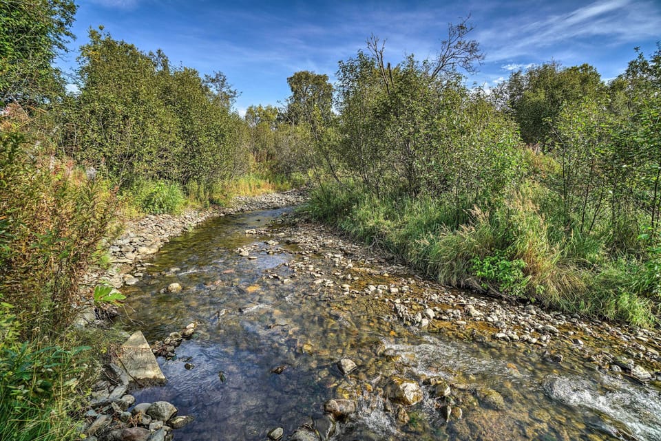 Creekfront Setting
