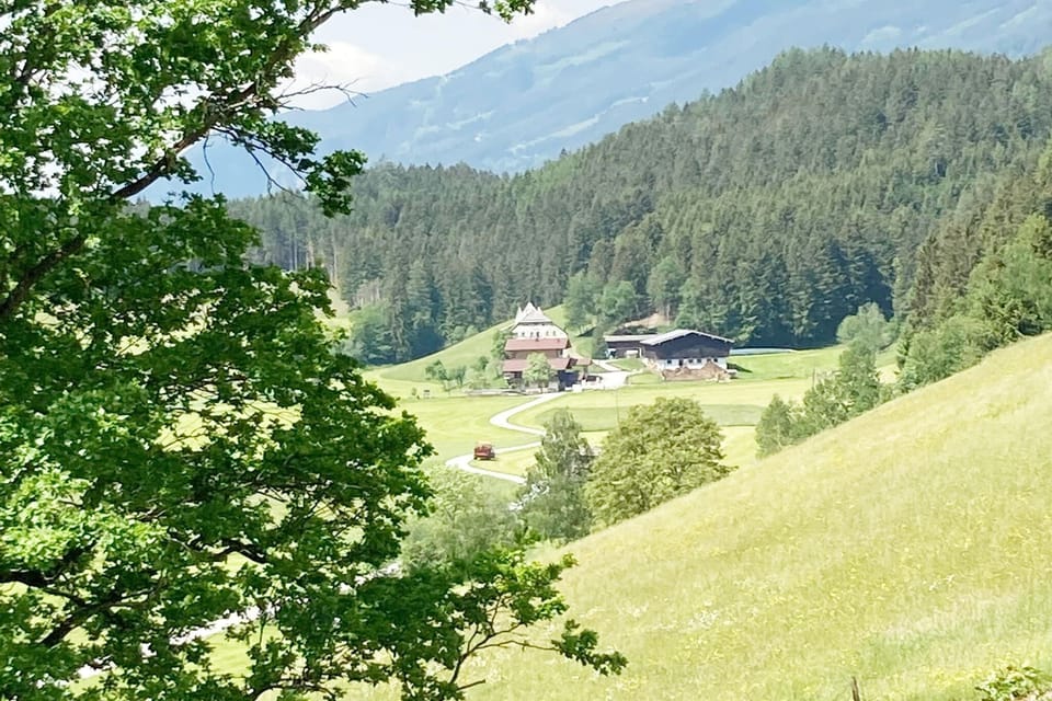 View from Holiday Home [summer]