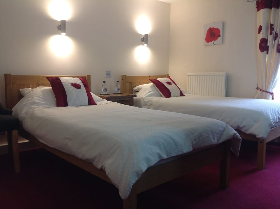 Afon Duad Inn twin bedroom