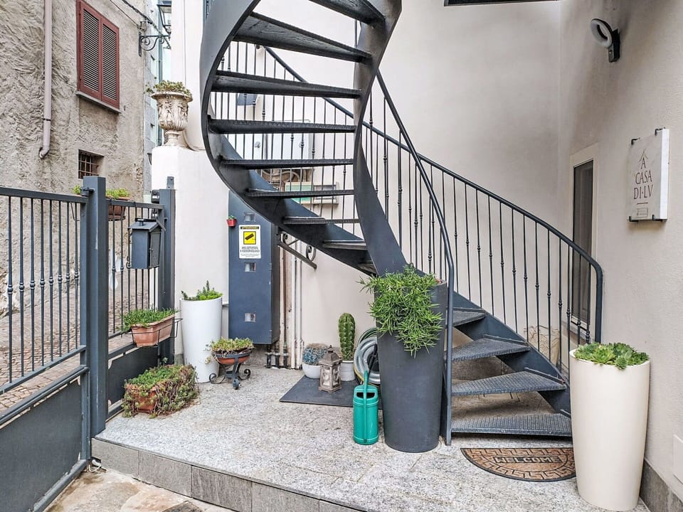 Stairs, Handrail, Flowerpot, Door, Metal, Houseplant, Iron, Baluster