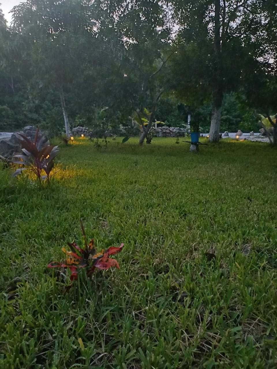 Property grounds