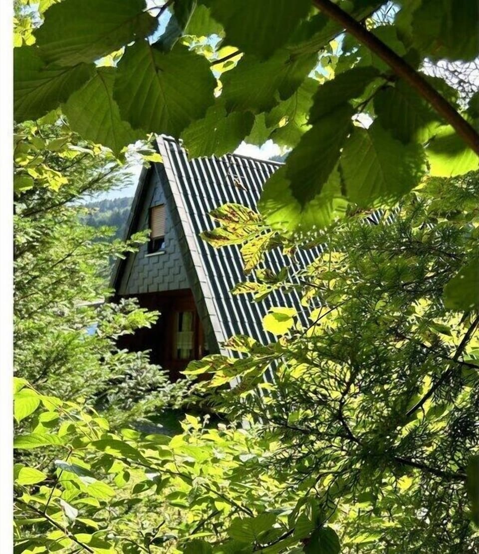 Untagged