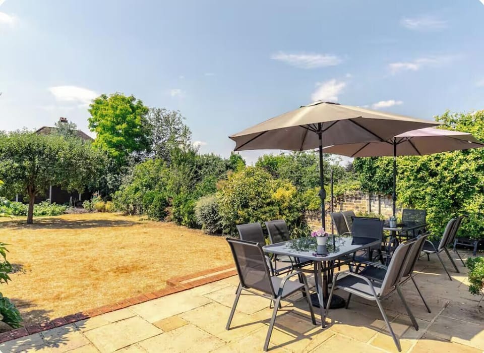 The rear garden in a very dry spell. The lawn is usually green.