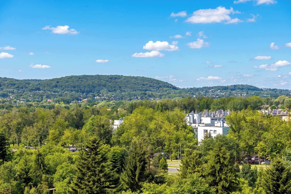 A scenic outdoor view overlooking lush green treetops and rolling hills in the distance. The sky above is bright blue with scattered white clouds.