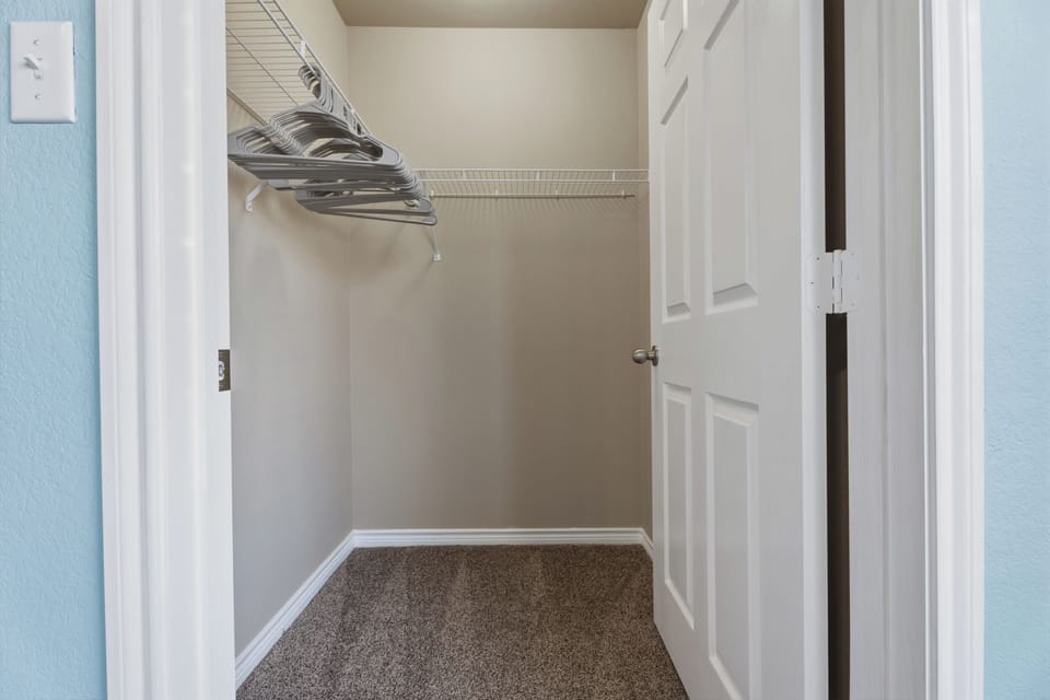 Roomy walk-in closet with shelving, plenty of hangers, and soft carpet.