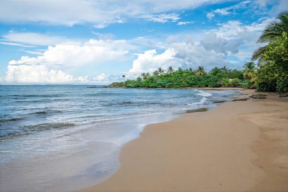 Quiet tropical beach with palm-lined shore and serene ocean views