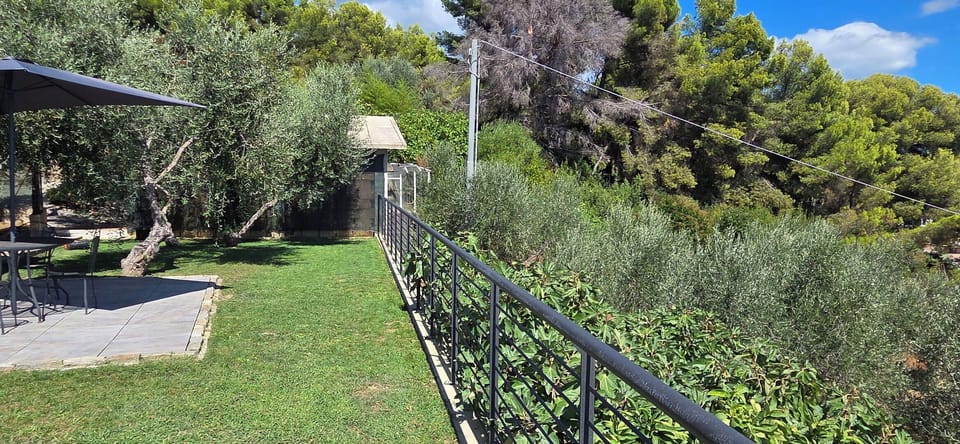 Shrub, Garden, Fence, Shade, Handrail, Landscaping, Backyard, Home Fencing