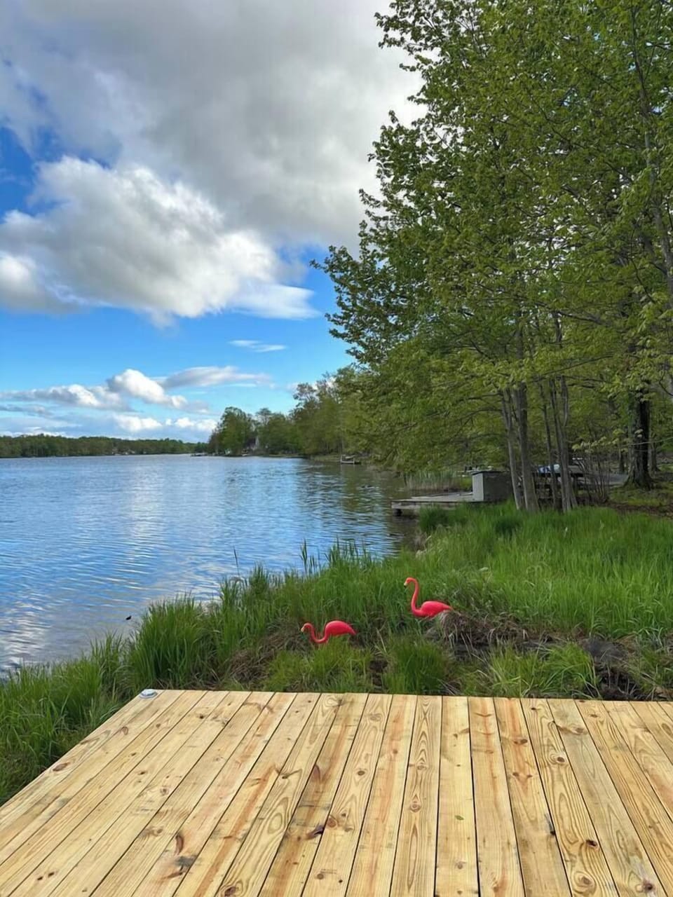 Enjoy the lake with these flamingos from our oversized private dock!