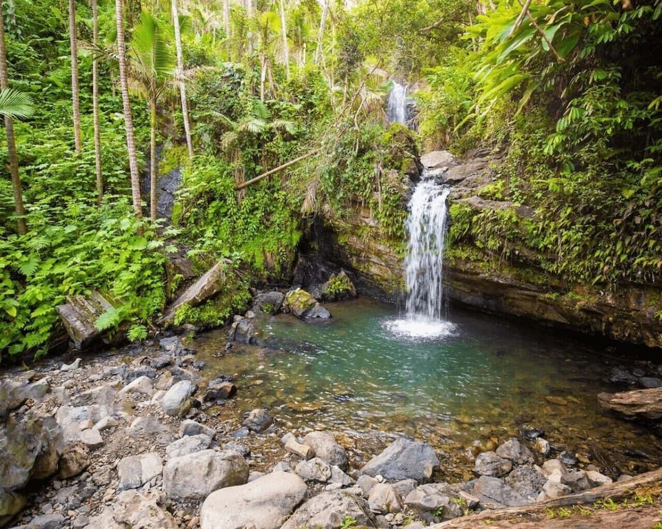 Discover refreshing waterfalls and natural swimming areas during a day trip to El Yunque.