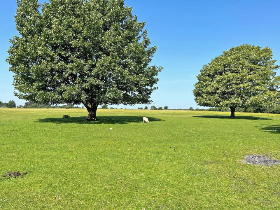 Surrounding area | Kilworthy, Tavistock