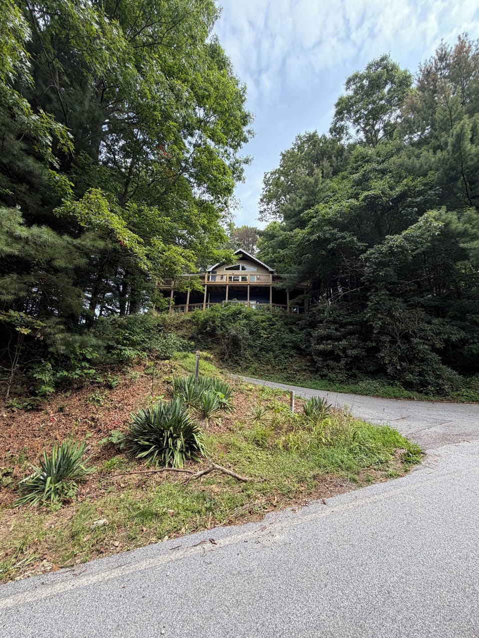 View from Alex Mountain Drive