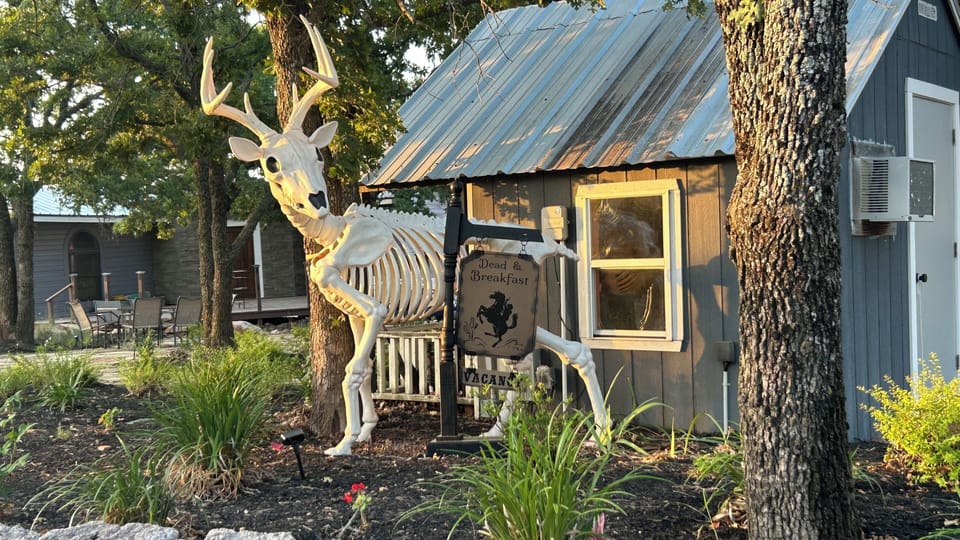 Rustic cabin exterior with quirky deer sculpture and wooded charm