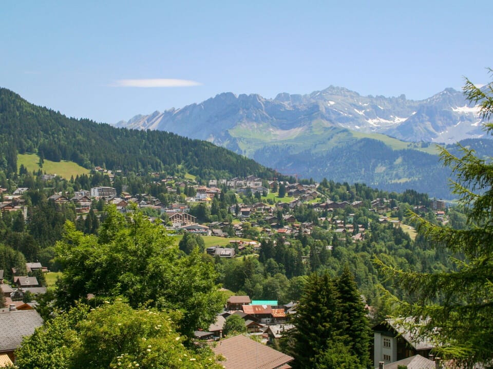 Mountainous Landforms, Tree, Mountain, Hill, Highland, Mountain Range, Hill Station, Human Settlement, Valley, Alps