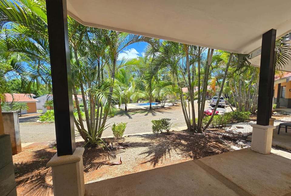 view from patio