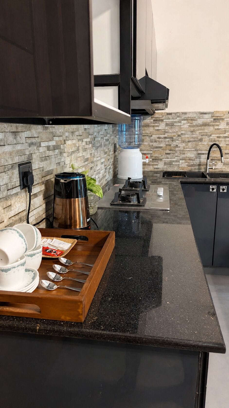 Lake View Apartment Kitchen Details