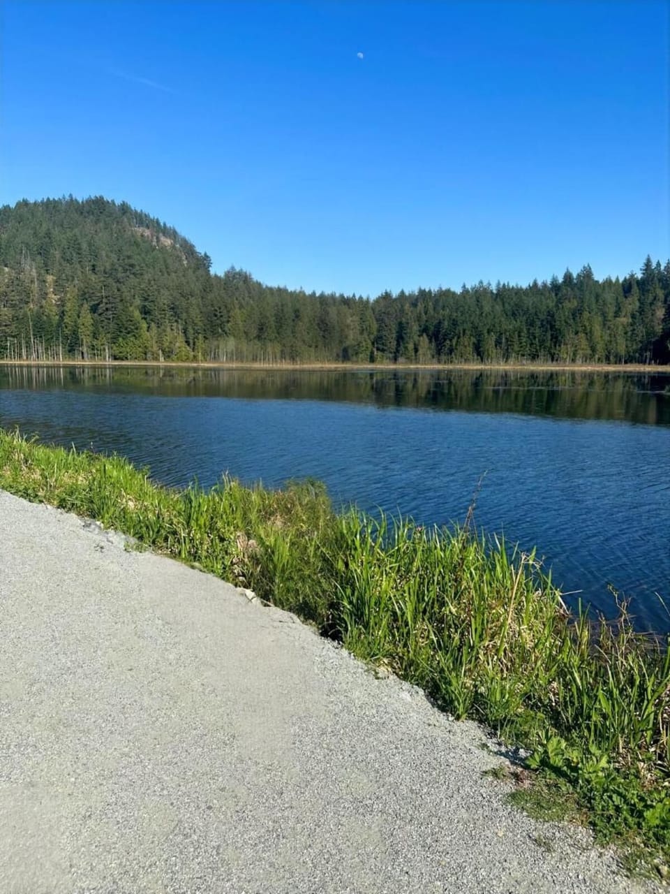Peaceful lakeside path with serene water and forest views