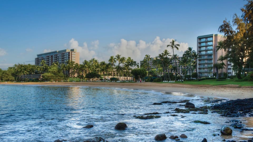 Tropical beachfront stay with palm-lined grounds and serene ocean views