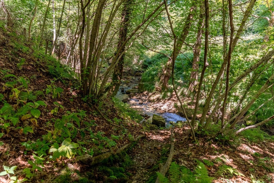 Miscellaneous