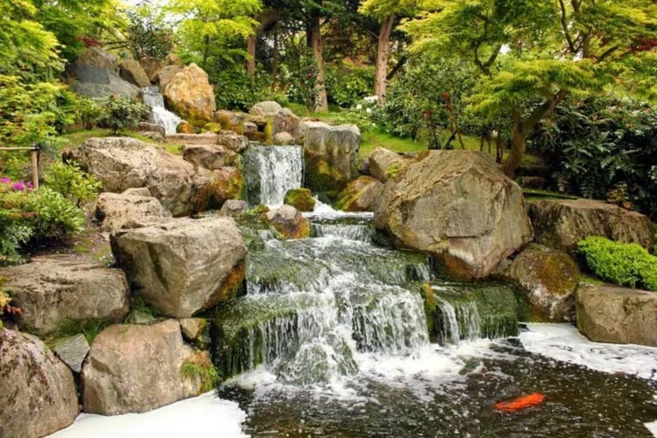 Image 32