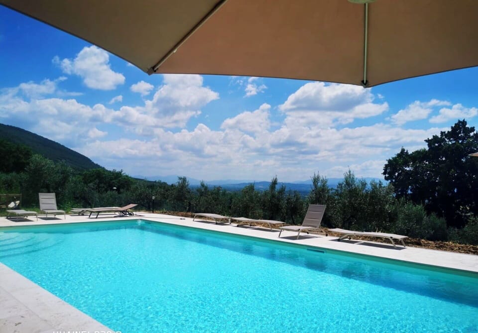 Autumn, Garden, Pool, Spring, Summer