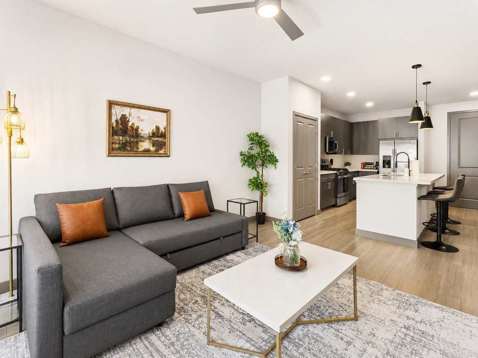 Living Room Area