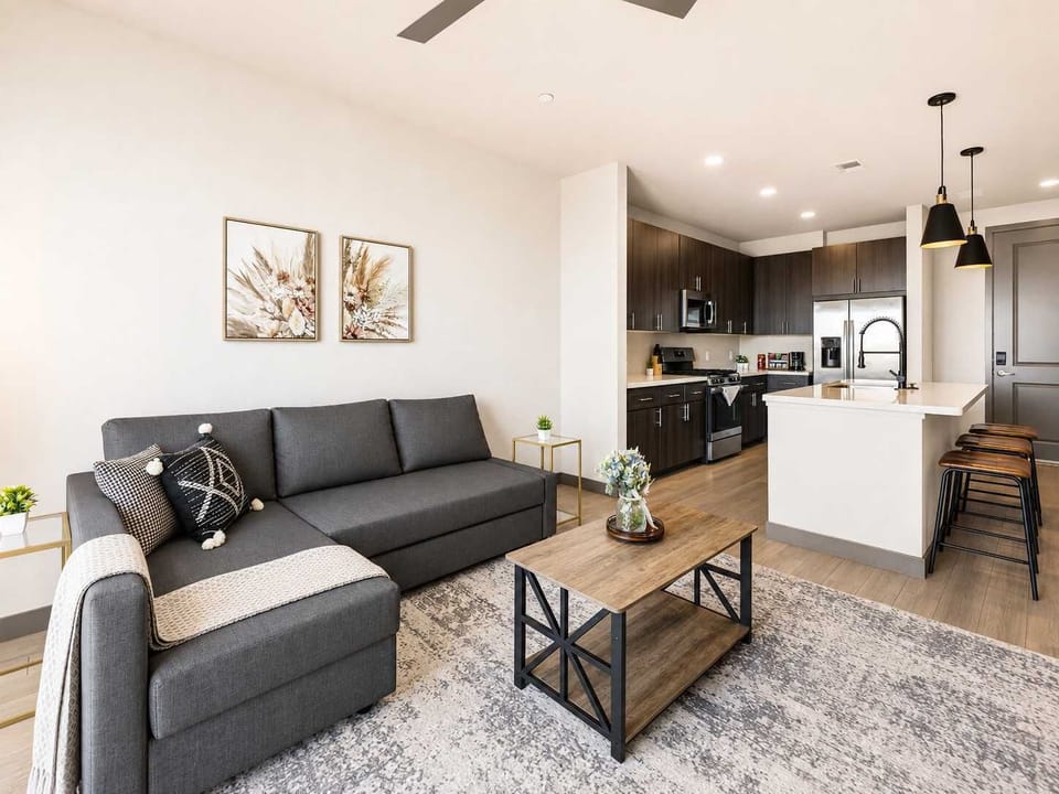 Living Room Area