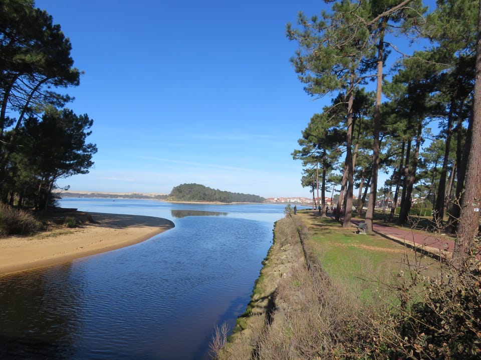Pine forest lines this stretch of water, typical of the Landes' quiet inlets and waterways.