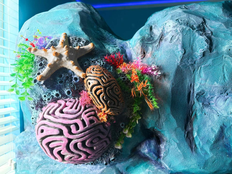 The Great Barrier Reef Retreat (Finding Nemo Themed) (Sleeps 4). An extraordinary underwater adventure featuring: 🪸 2 Coral reef-inspired bunk bed structures, a large circular slide in the center of the room and more. 