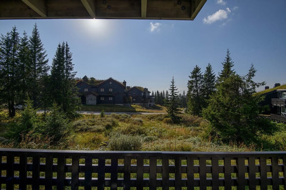 Scenic views of the surrounding landscape