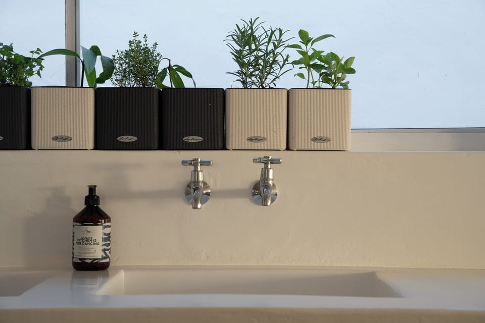 The kitchen sink