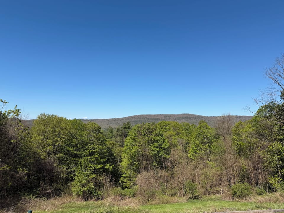 View in the Springtime