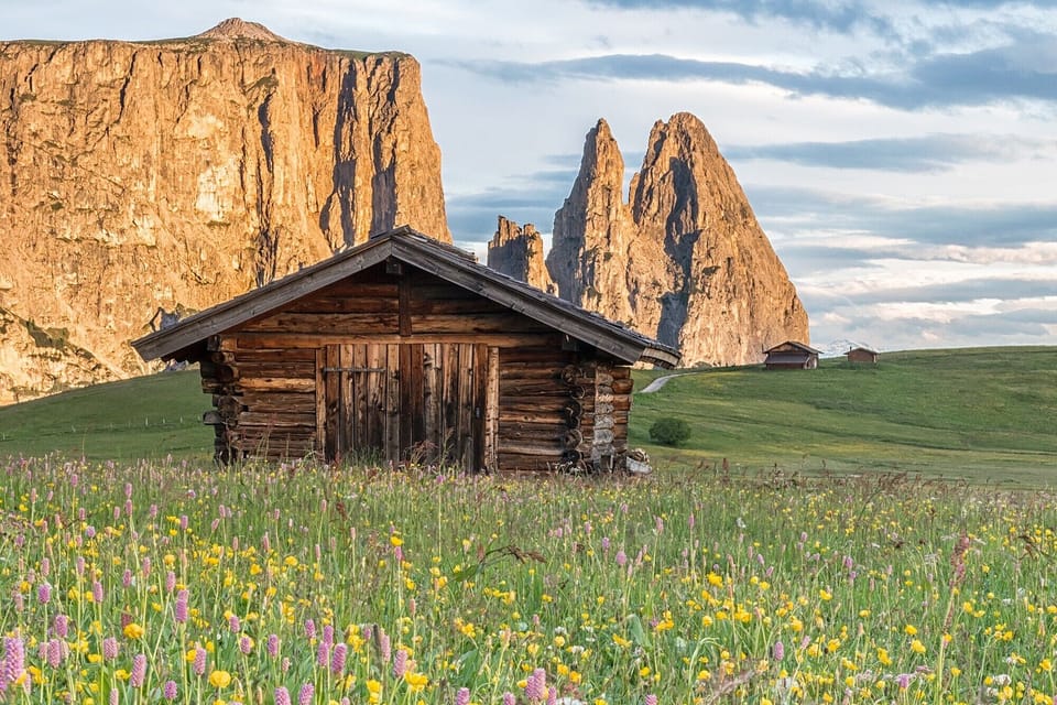 Miscellaneous