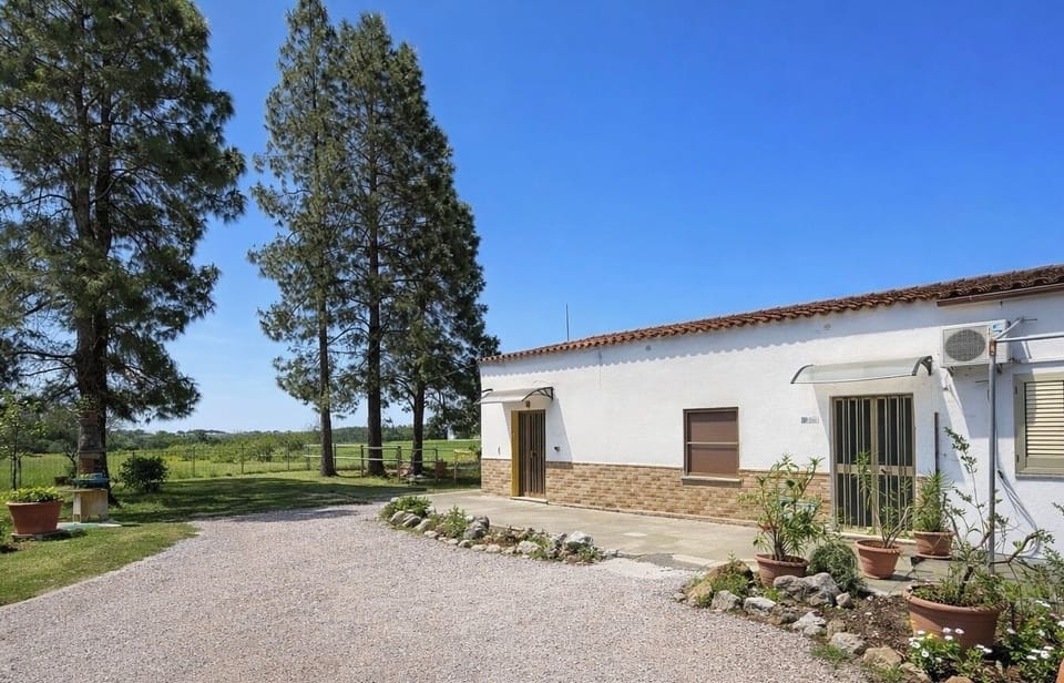 Peaceful country cottage with garden, pines, and easy parking