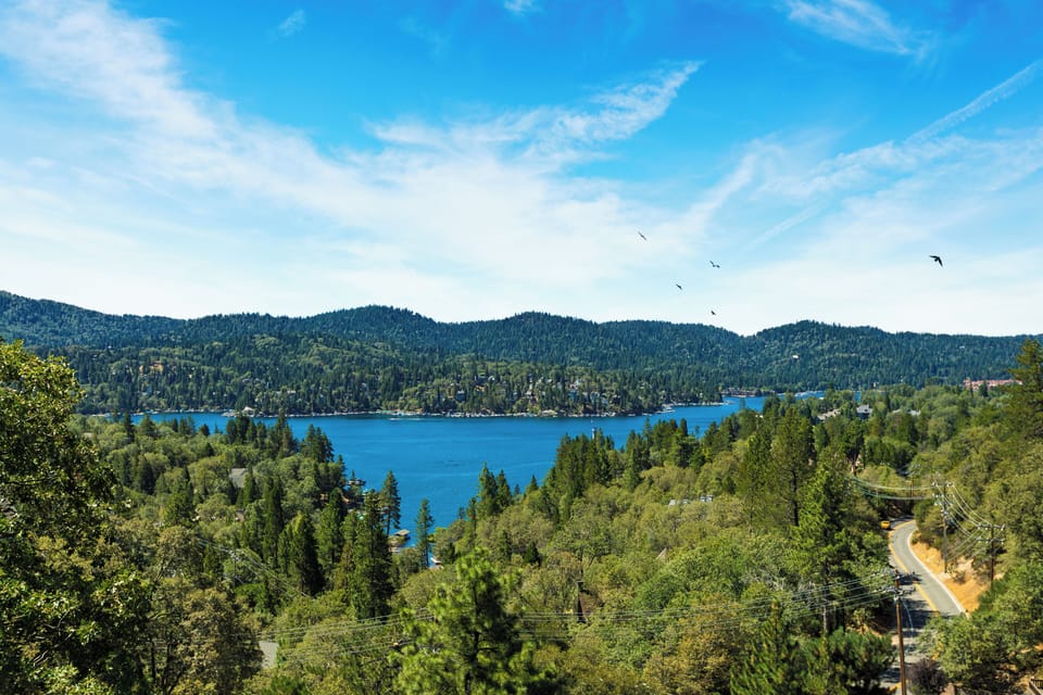 Aerial view of the scenic lake and forest.