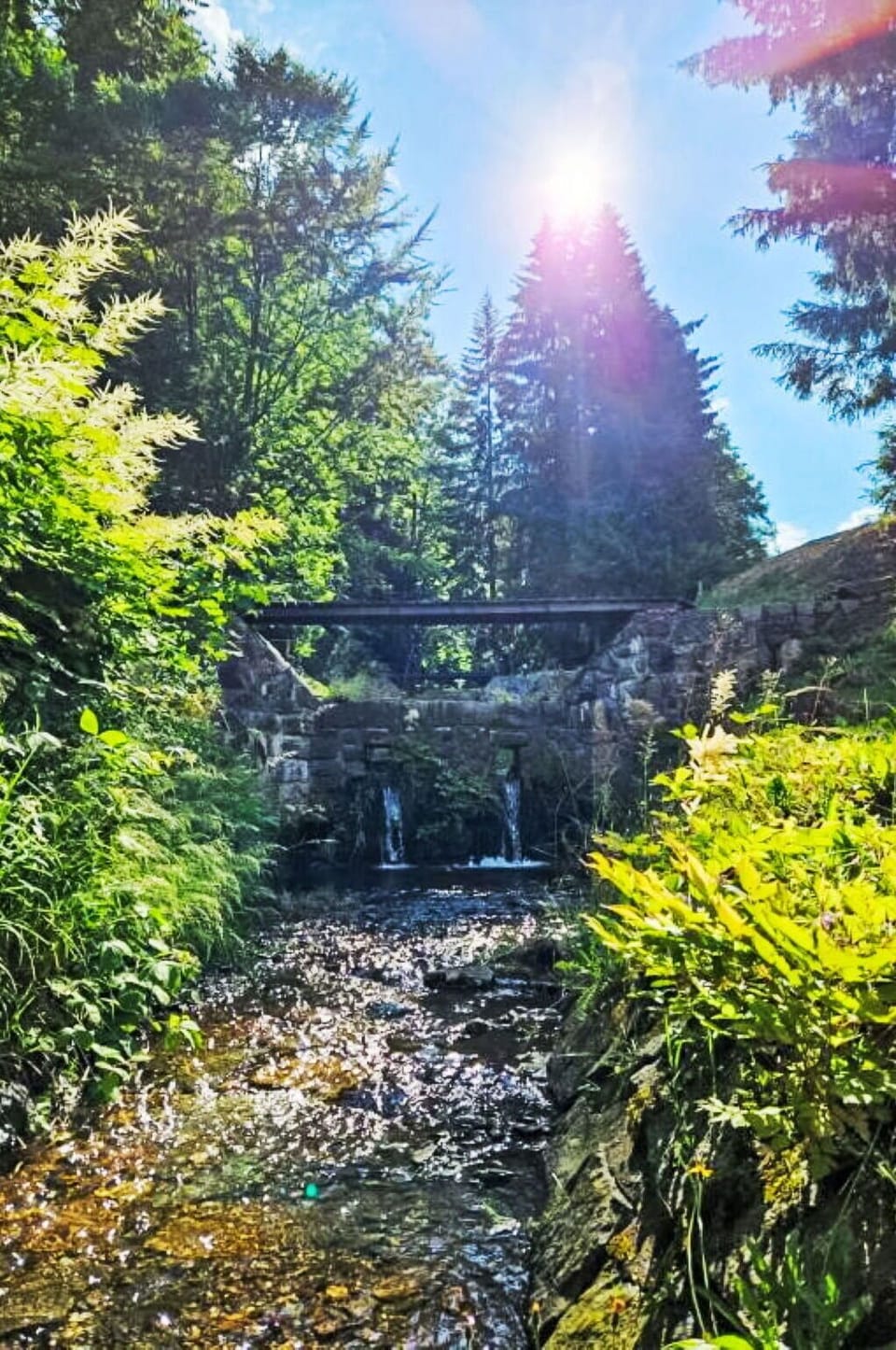 Water, Green, Body Of Water, Nature, Leaf, Natural Environment, Natural Landscape, Vegetation, Watercourse, Stream