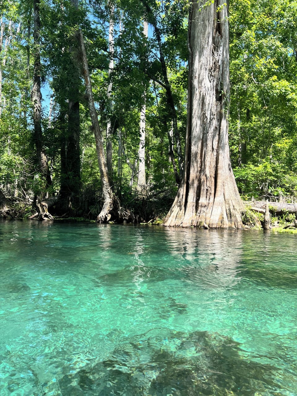 Ichetucknee River