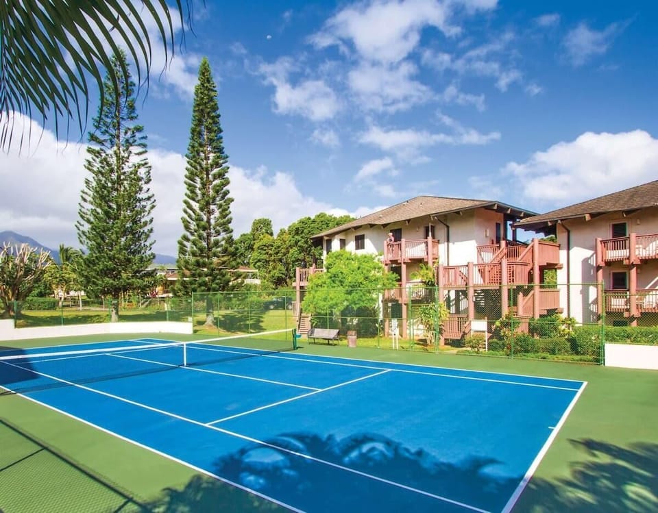 Sport court
