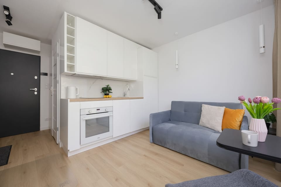 Open-plan studio with a comfortable sofa, TV, dining table, and fully equipped kitchenette.