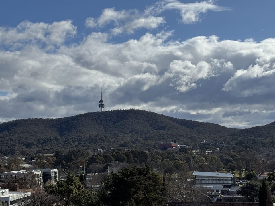 view