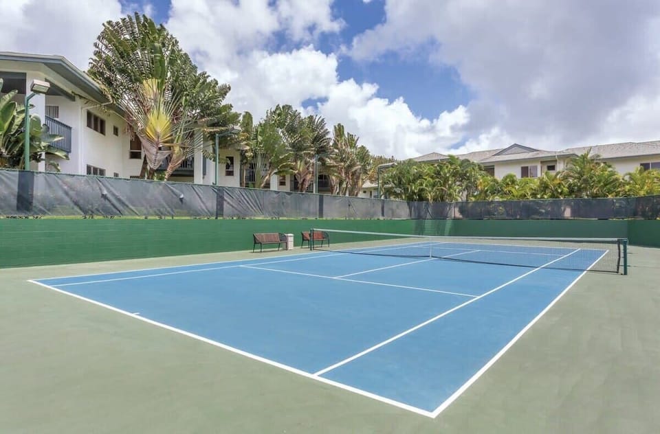 Sport court