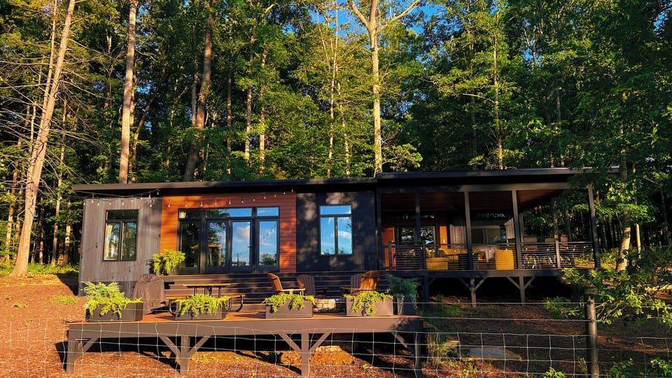 Modern forest cabin with spacious deck and peaceful woodland views