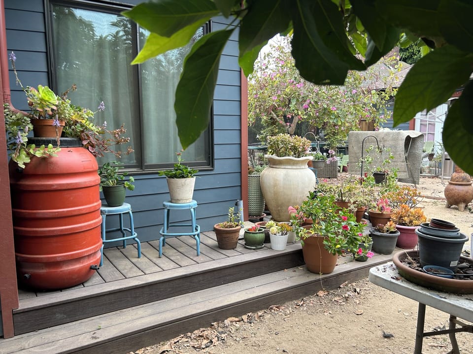 Terrace/patio