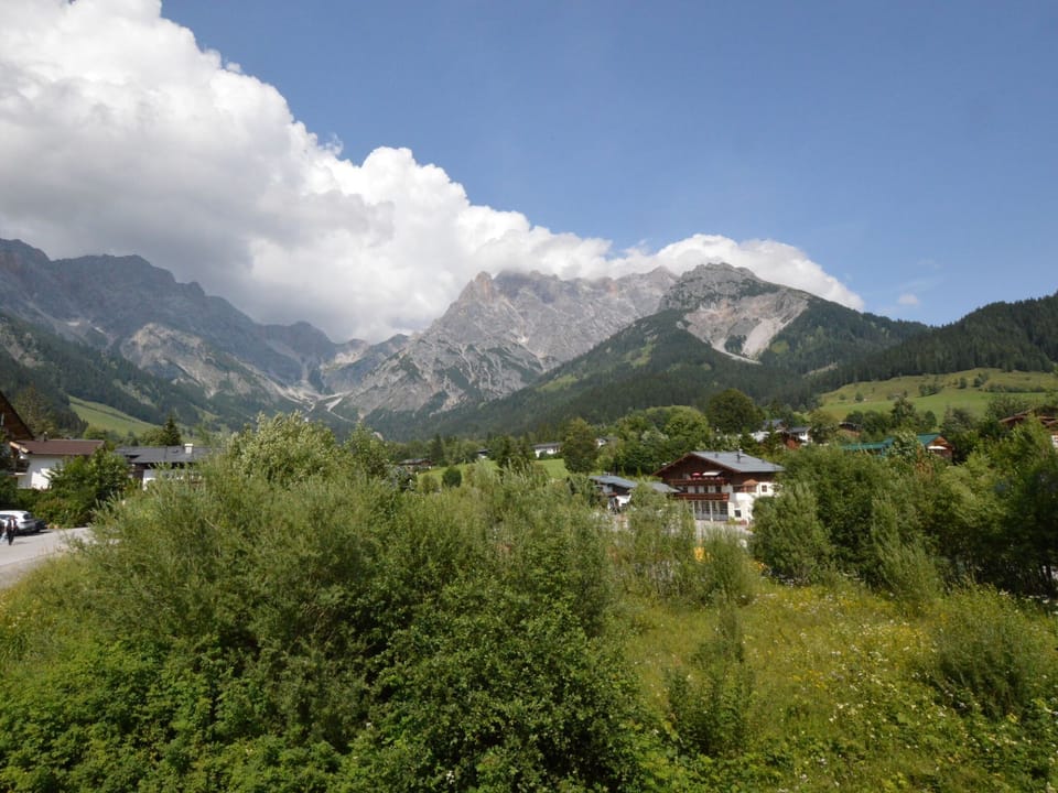 View from Holiday Home [summer]