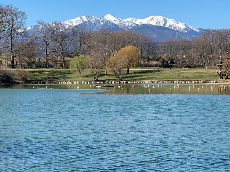 The lake at St Jean pla de Corts with Canigou mountain  