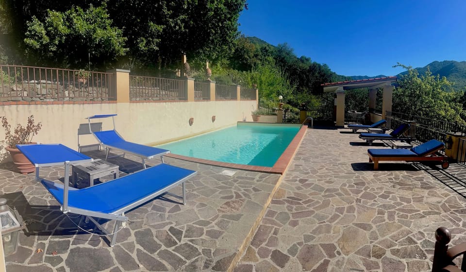 Swimming pool view