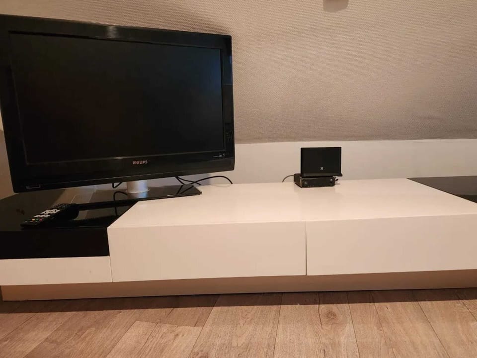 Television