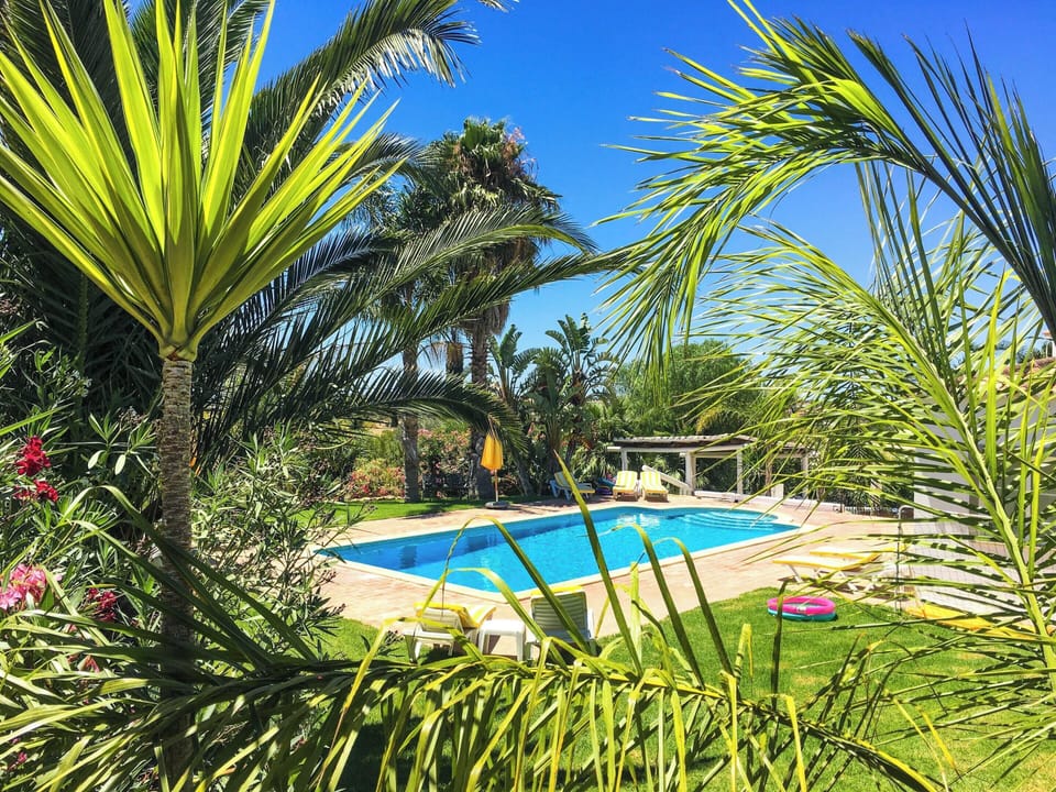 Swimming pool view